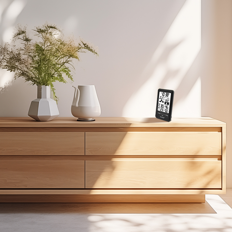 WS6210-BLA_4 WS6210-BLA_4