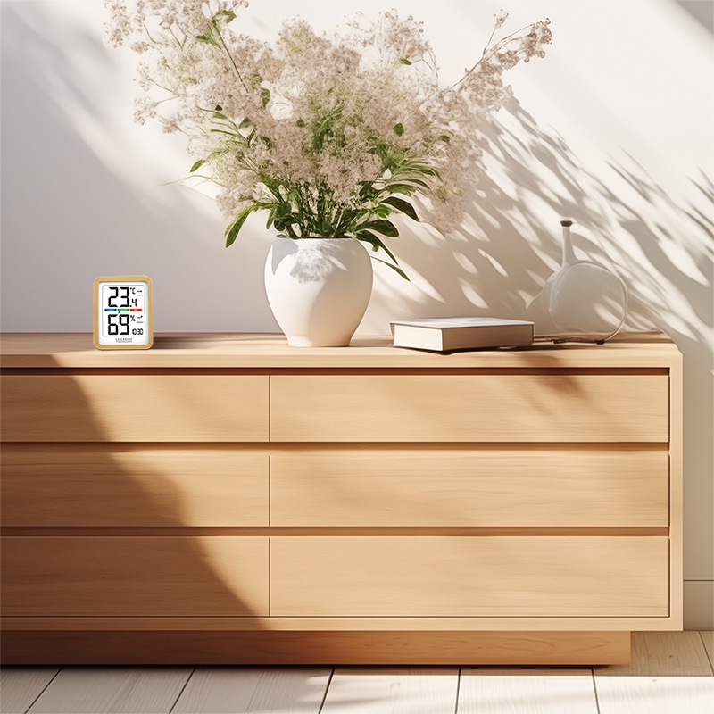 WS6281W-MAC_4 WS6281W-MAC_4